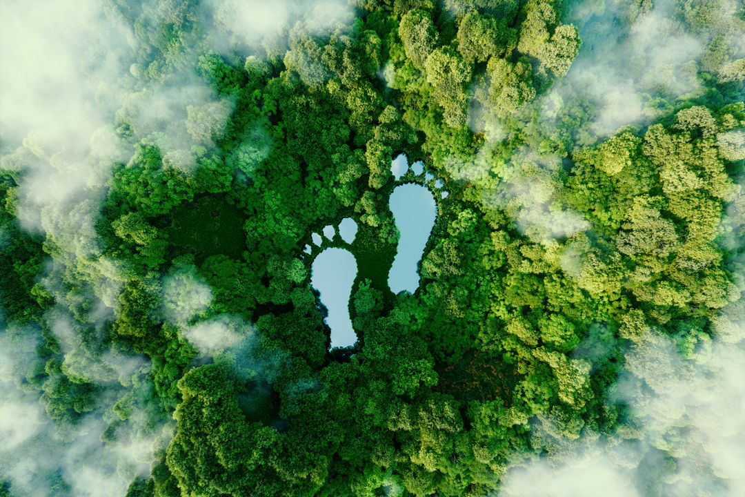 BattVO und CO₂- Fußabdruck Eine Luftaufnahme eines dichten grünen Waldes zeigt zwei große, fußabdruckähnliche Wasserflächen, umgeben von üppigem Laub. Leichte Nebelschwaden verleihen der Szene eine mystische Atmosphäre.